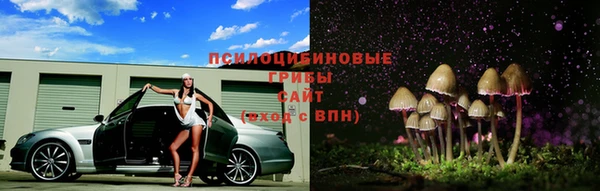 PSILOCYBIN Володарск