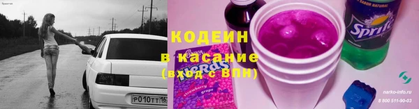 шишки Бородино
