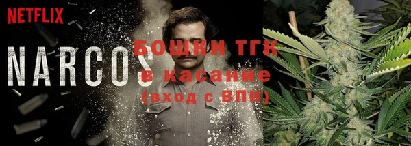 ГАЛЛЮЦИНОГЕННЫЕ ГРИБЫ Волосово