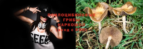 дмт Волоколамск