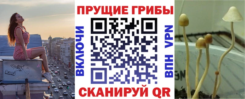 Псилоцибиновые грибы мухоморы  Калязин 